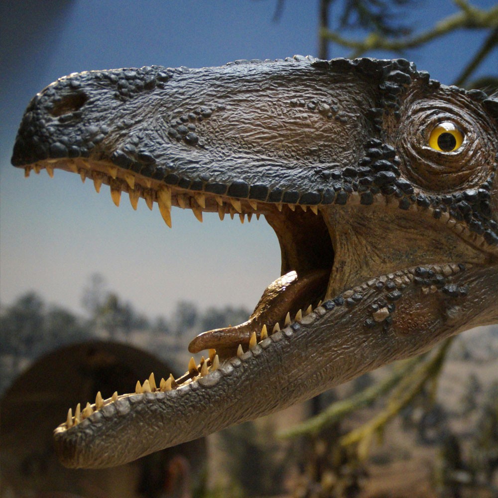 JMuseo
